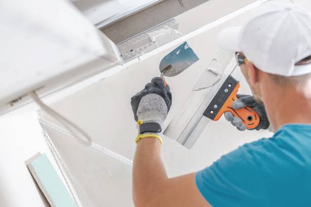 Best Drywall Removal and Disposal  in Springville, IA